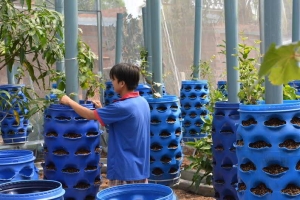 Tái Sử Dụng Phuy Nhựa: Giải Pháp Tiết Kiệm Và Thân Thiện Với Môi Trường
